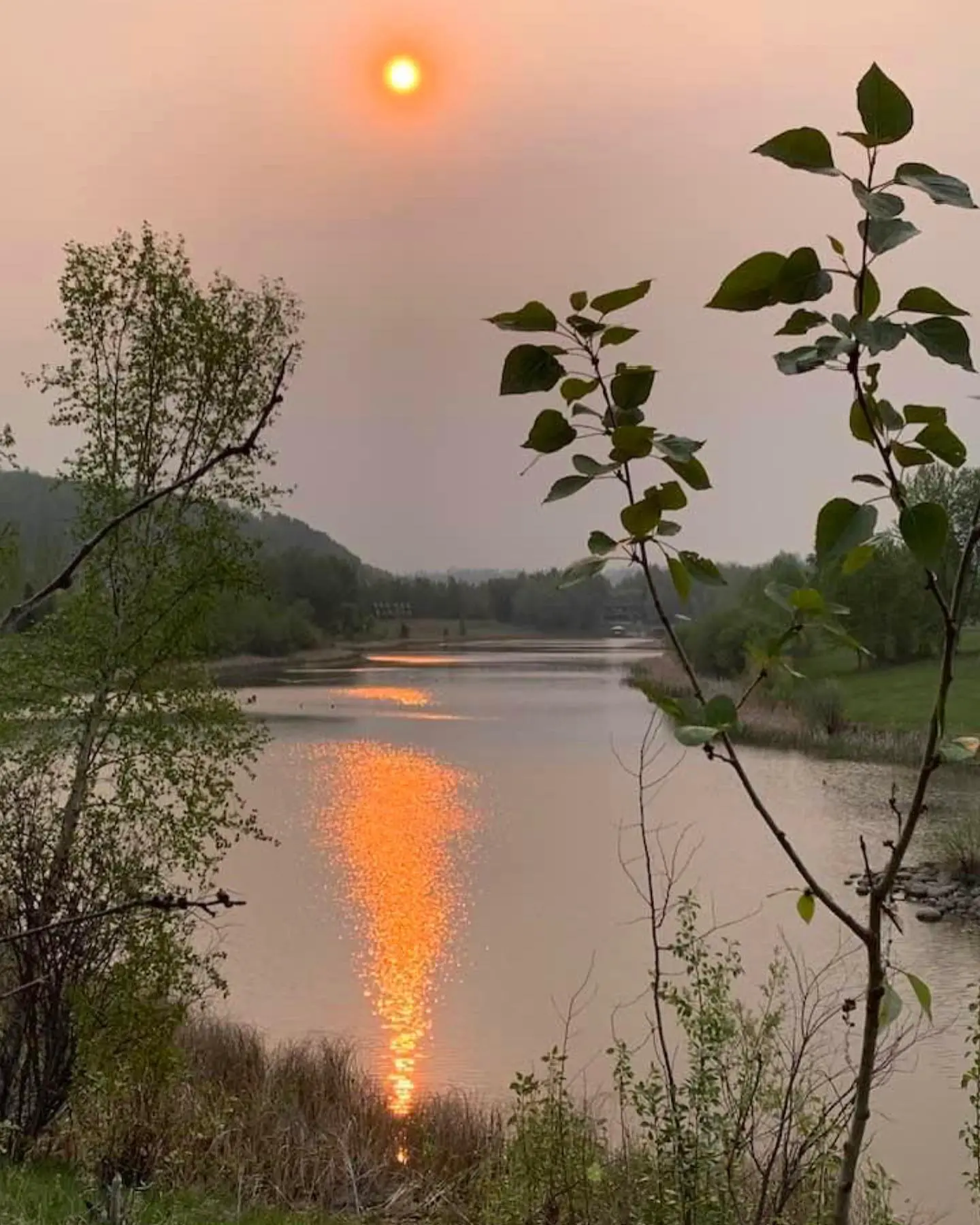 A body of water with trees and bushes in the foreground.