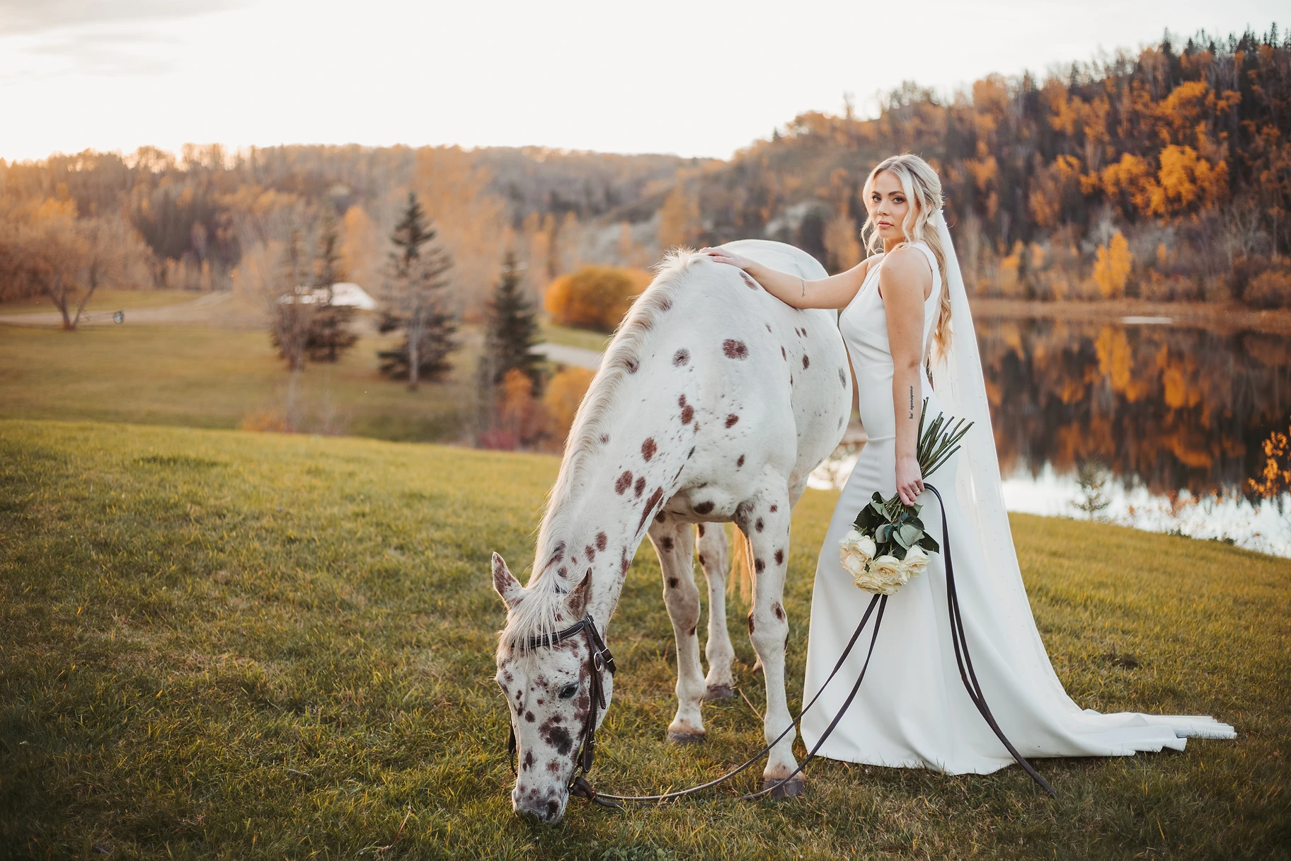 A bride and her horse in the field